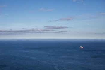 La búsqueda tras la pérdida