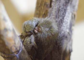 El amor, visto desde un
