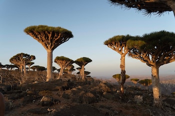 viajeros argentinos en isla Socotra