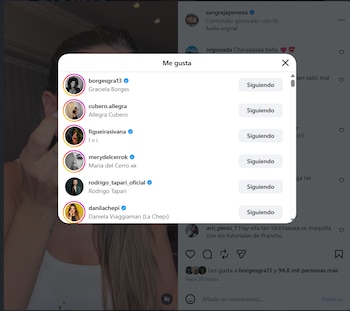 Ventana emergente de Instagram sobre un video que muestra el encabezado Me gusta y una lista de perfiles de usuarios