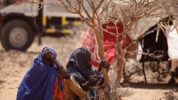 El Consejo de Seguridad de