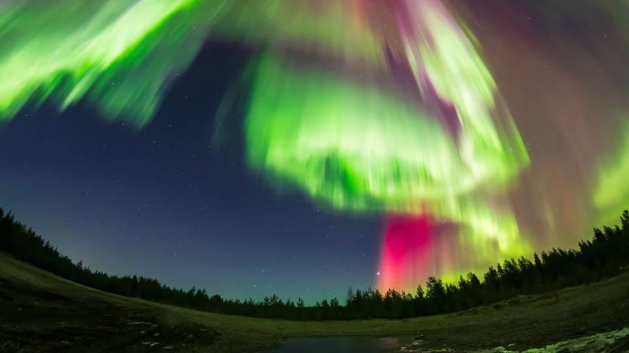 Plataformas como Aurora Dashboard de la NOAA y Aurora Forecast de la Universidad de Alaska ofrecen pronósticos y mapas en tiempo real para entusiastas de las auroras. (Reuters)