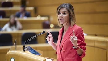 El PSOE pide garantizar el