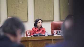 Robles desconoce el origen del ataque en Líbano en el que murieron tres cascos azules: Todas las opciones están abiertas