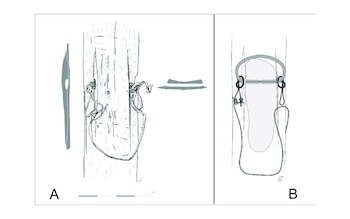 La función práctica de los
