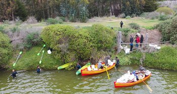 El clan atrae la atención