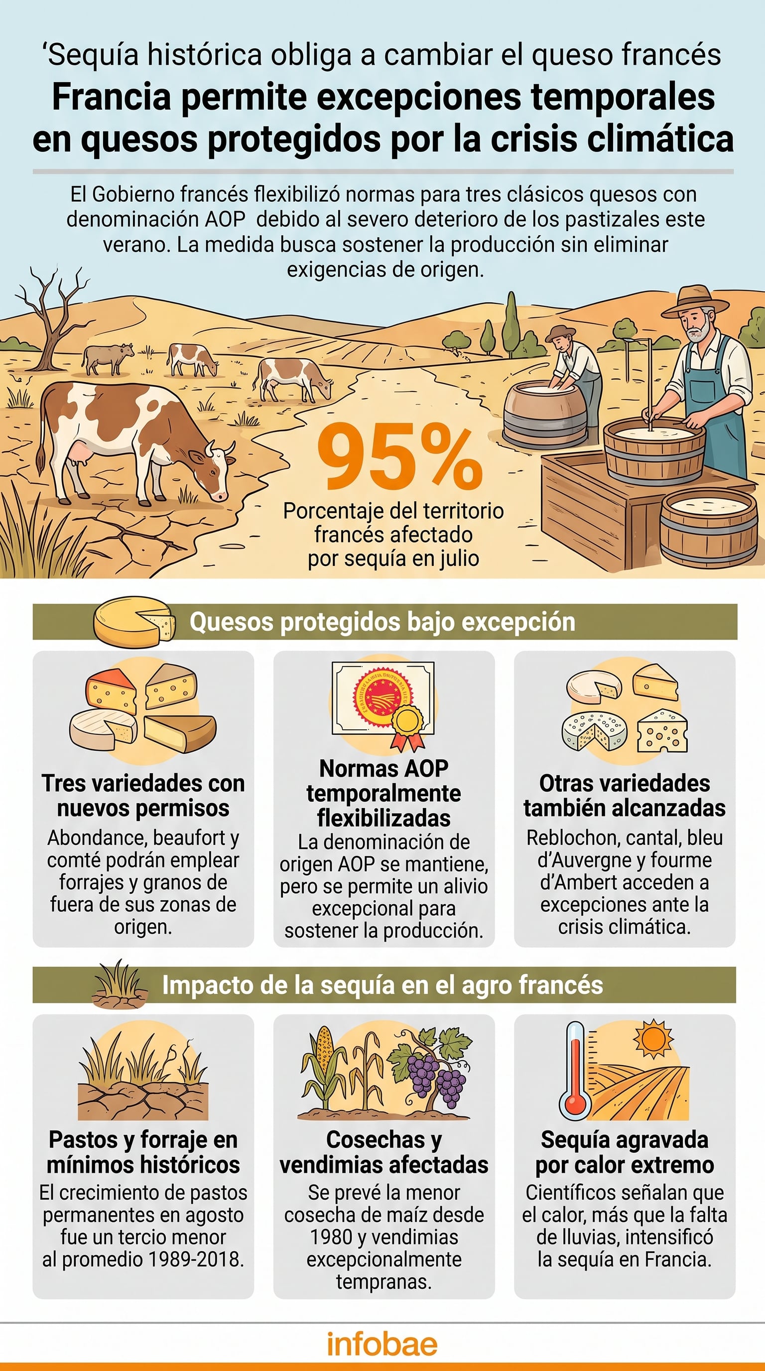 El Gobierno de Francia otorga excepciones temporales a la producción de quesos protegidos debido al impacto de la sequía en los pastizales (Imagen Ilustrativa Infobae)