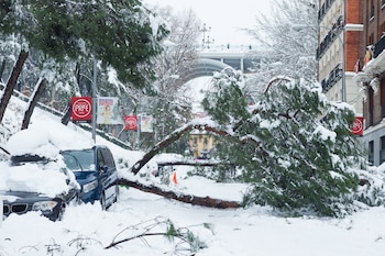 Efectos de Filomena sobre Madrid.