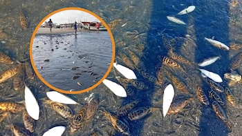 Alerta en Piura: toneladas de