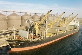 La iniciativa tiene como objetivo