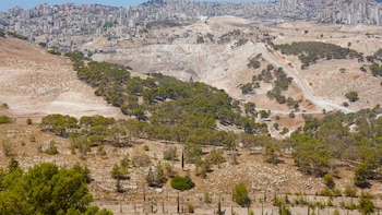 Nueve países piden a empresas que no participen en la construcción de nuevos asentamientos en Cisjordania