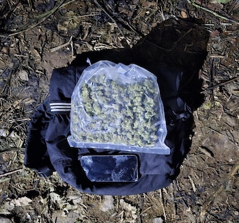 Personal de la Fuerza Armada incauta marihuana en el cantón Galeano, Chalchuapa, como parte del Plan Control Territorial. (Foto cortesía Fuerza Armada)