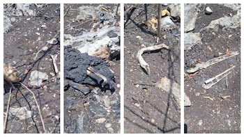 Madres buscadoras encuentran posible campo de exterminio y fosas clandestinas en Chiapas