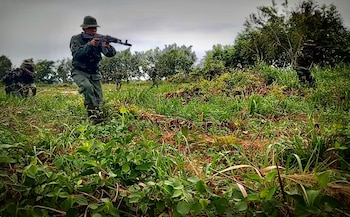 Personas con uniformes de camuflaje y réplicas de fusiles que caminan por un campo cubierto de hierba y arbustos