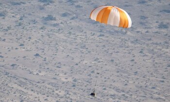 Un equipo dirigido por la