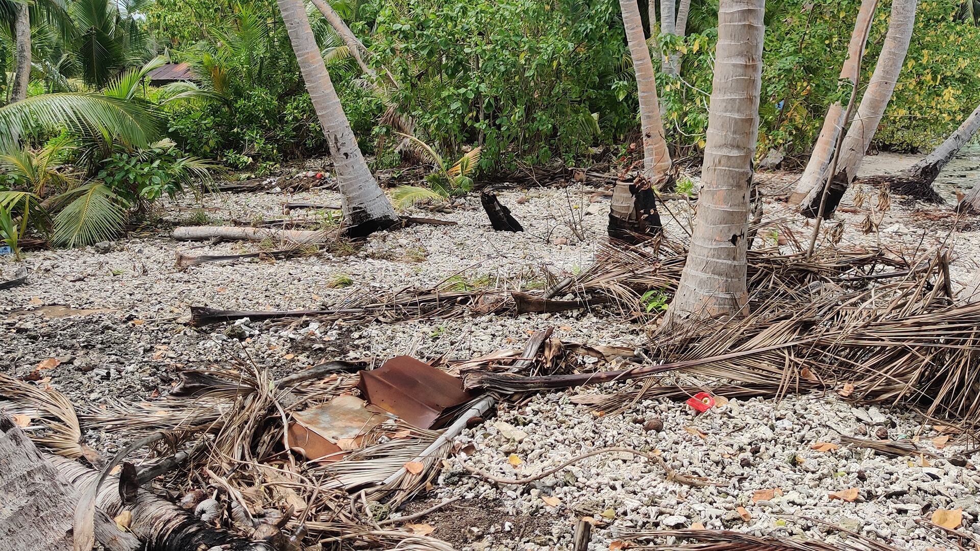 Un estudio británico advierte que eventos de inundación excepcionales podrían repetirse cada dos o tres años en las Maldivas. (Gerd Masselink)