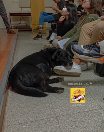 En las redes sociales, los