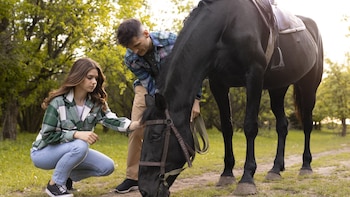 Los caballos pueden “oler” el