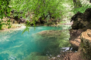 Un río con aguas cristalinas en medio de un bosque. (WikimediaCommons/Miki Pons)