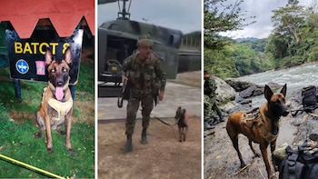 crédito Comando Contra el Narcotráfico y Amenazas Transnacionales (Conat) | Ejército Nacional