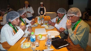 Concurso Nacional de Quesos 2026 premia a La Libertad por el mejor queso del Perú. (Foto: Midagri)