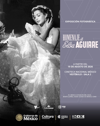 Elsa Aguirre