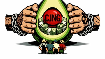 La Mincha cobraba 3 mdp por cosechar aguacate: su captura llevó hasta El Tío Lako