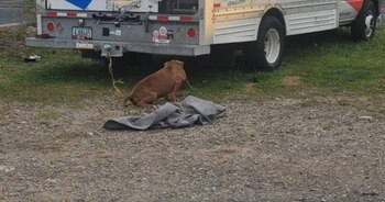 La defensa de Hergenreder argumentó
