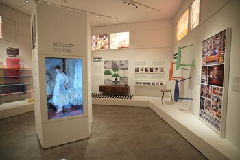 Una imagen de la muestra