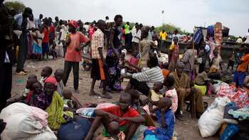 ONU: Cerca de 13.900 muertos