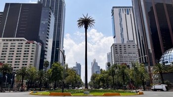 Die Regierung von Mexiko-Stadt hat