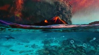 Os pesquisadores usaram dados fósseis e