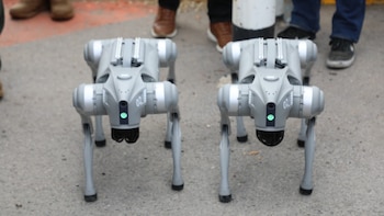 San Luis Potosí despliega perros robot con inteligencia artificial para reforzar la seguridad pública