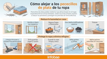 Infografía con pececillos de plata, ropa, armarios, ventana, fregadero, deshumidificadores, utensilios de limpieza, cajas, libros, bolsas y sellador de grietas. Incluye textos instructivos.