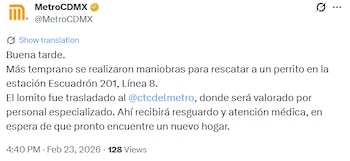 El perrito fue traslado al