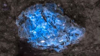 El ámbar más antiguo del mundo: tiene 385 millones de años y fue descubierto en China