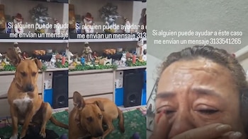 Entre lágrimas, una mujer pide