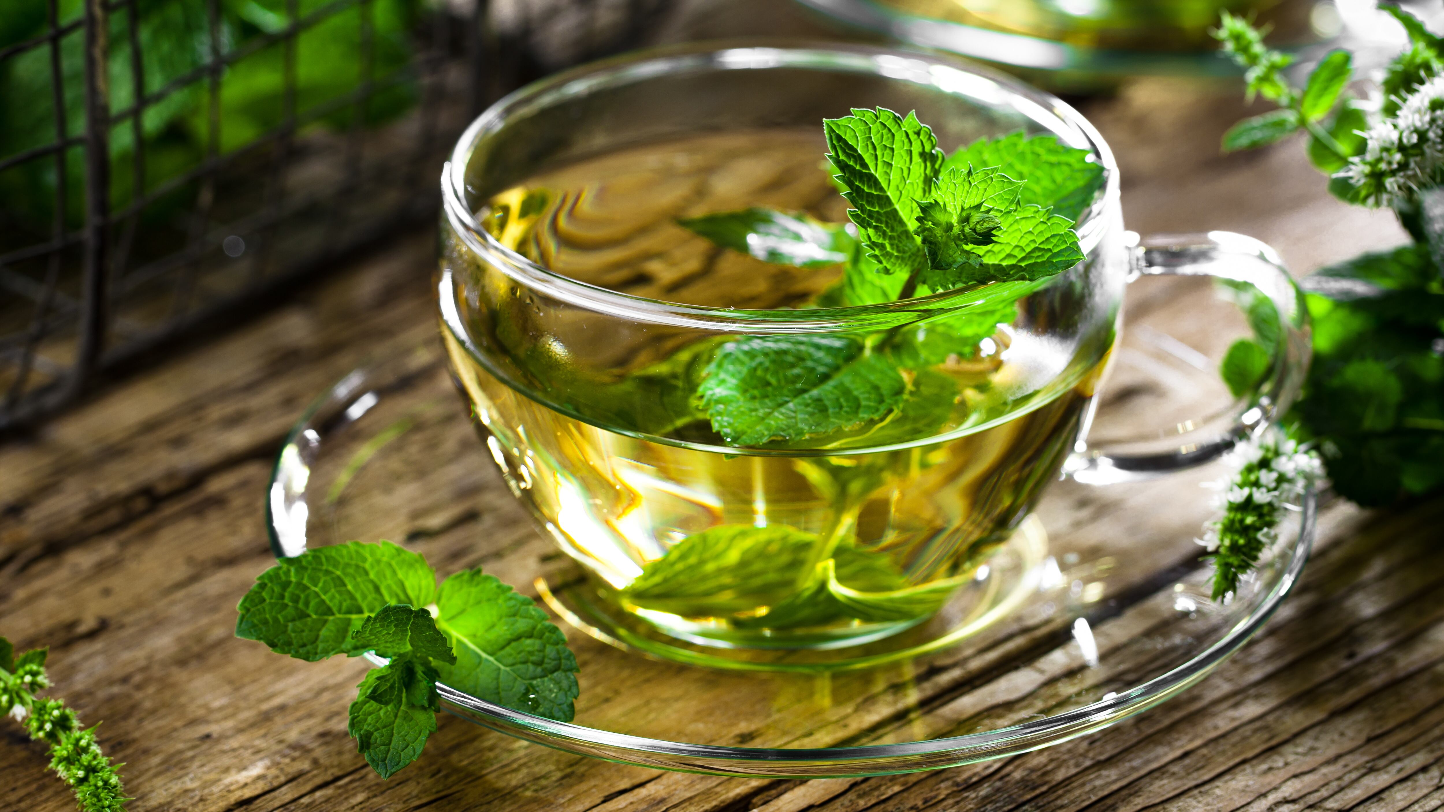 La versatilidad culinaria de la hierbabuena permite disfrutar su sabor y aprovechar sus propiedades sin aditivos artificiales. - (Adobe Stock)