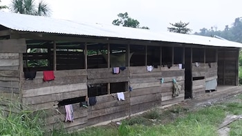 Un albergue precario recibe a víctimas que viajan desde localidades aisladas para sostener procesos judiciales que pueden extenderse durante semanas