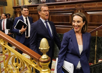 Carlos Rojas, Alberto Núñez Feijóo