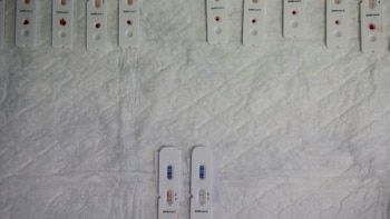 Un estudio revela que la