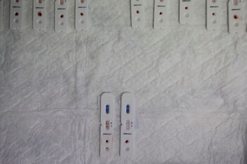 Investigadores de la Universidad de