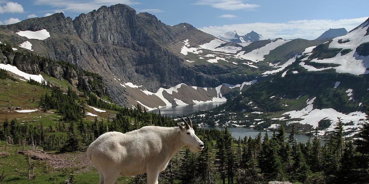 El Parque Nacional de los Glaciares, en Estados Unidos, representa uno de los últimos bastiones de tranquilidad sonora debido a su aislamiento geográfico y baja densidad de tráfico aéreo (Wikipedia)