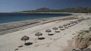 Suspende SEMARNAT dos megaproyectos turísticos