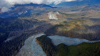 La extensión del bosque boreal