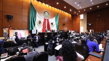 Visas y permisos sanitarios subirán de precio en 2027: ¿qué propone la Ley Federal de Derechos?