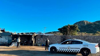 El hallazgo fue ubicado en