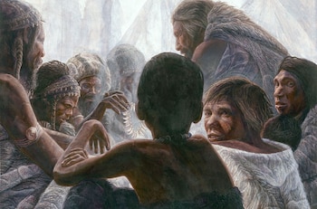 La comparación de ADN muestra