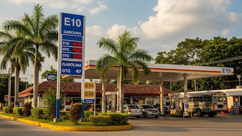 El sector exportador en Guatemala afirma que la E10 no cambia el mantenimiento del vehículo e impulsará la agroindustria con etanol de origen agrícola