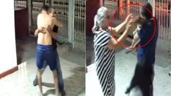 La scène tendre d'un chien